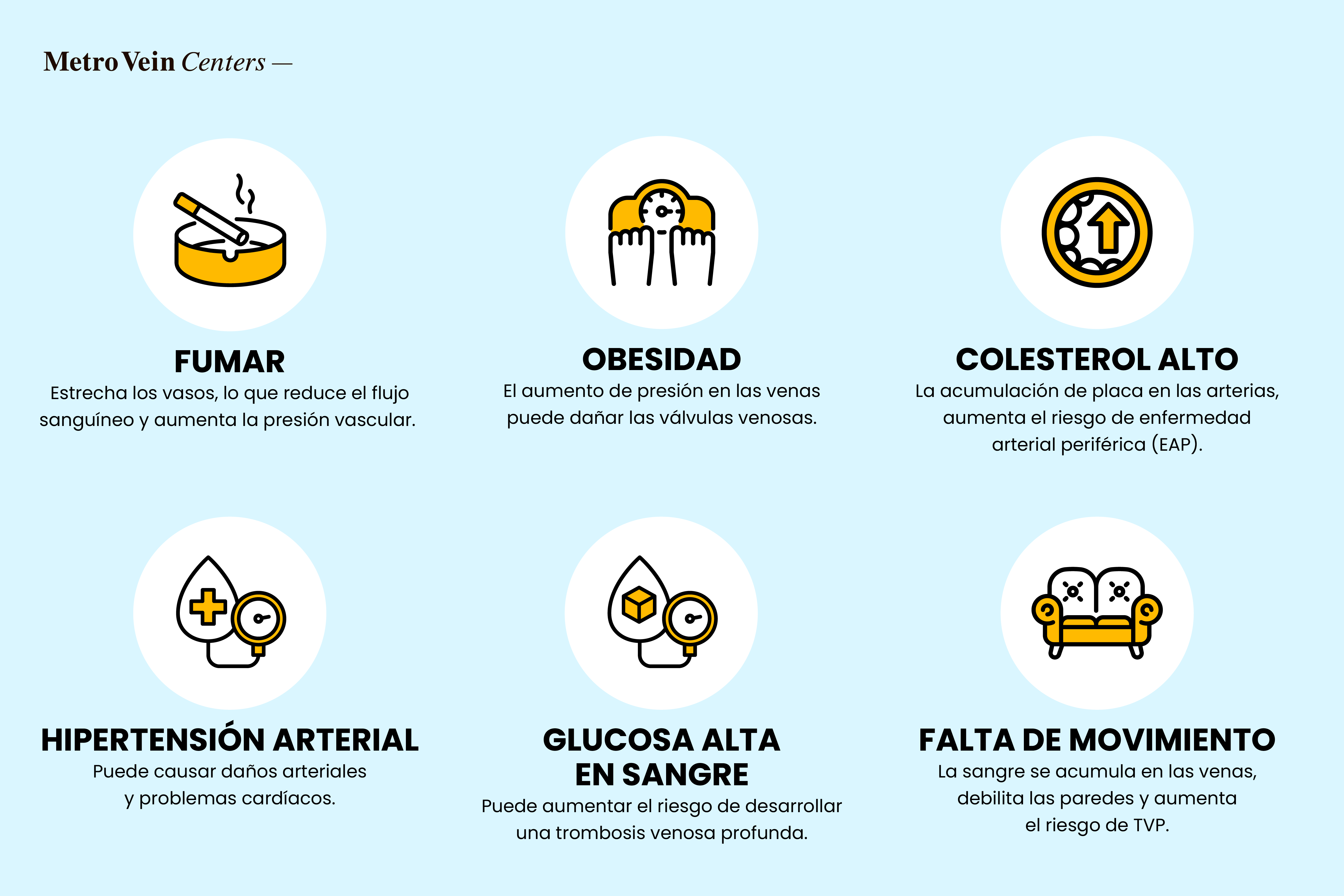 Las venas desempe&ntilde;an un papel esencial en el mantenimiento del bienestar cardiovascular y la salud del coraz&oacute;n.
